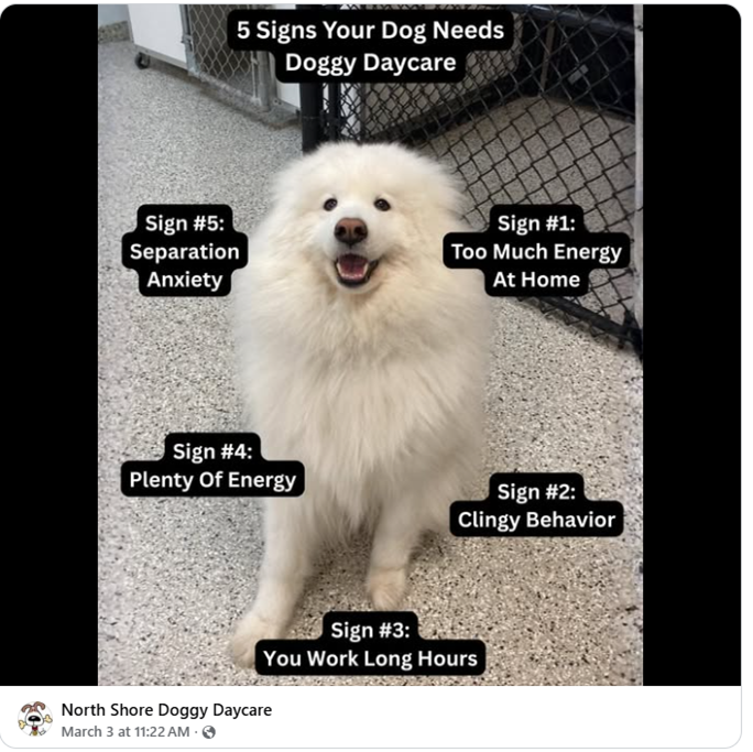 North Shore Doggy Daycare, LLC